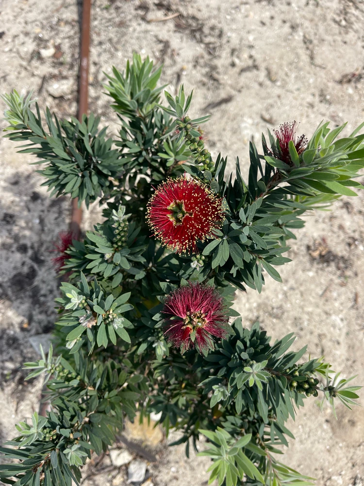 GIF uploaded by Luis