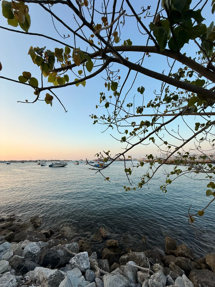 GIF อัปโหลดโดย Ratree