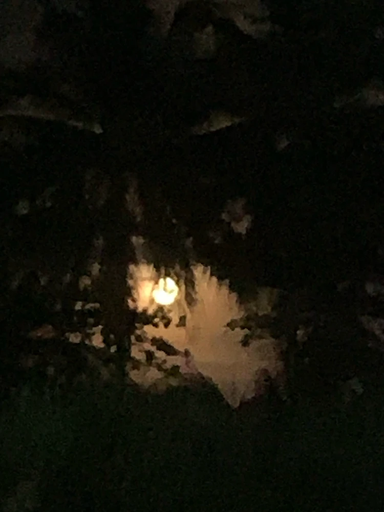 GIF uploaded by ChrizMae