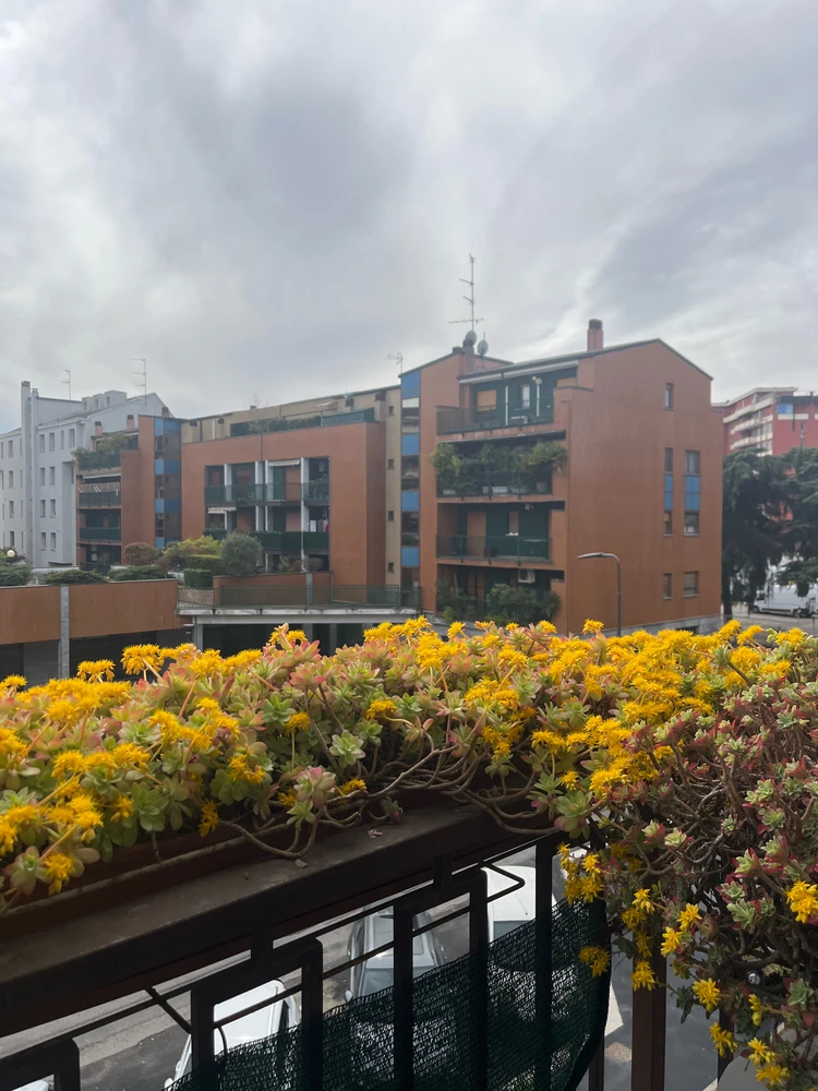 GIF caricata da Anto