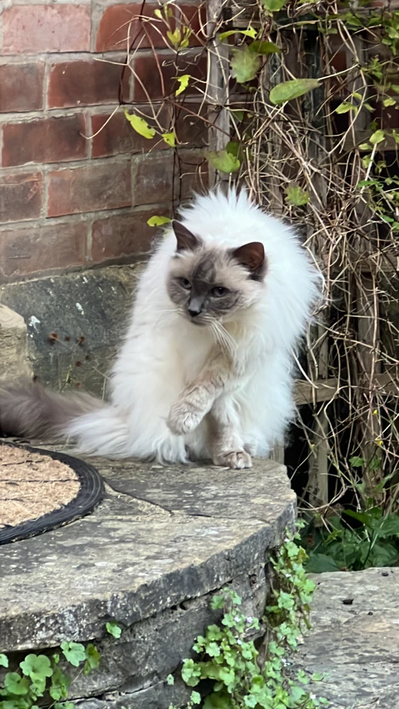 GIF uploaded by Lyla