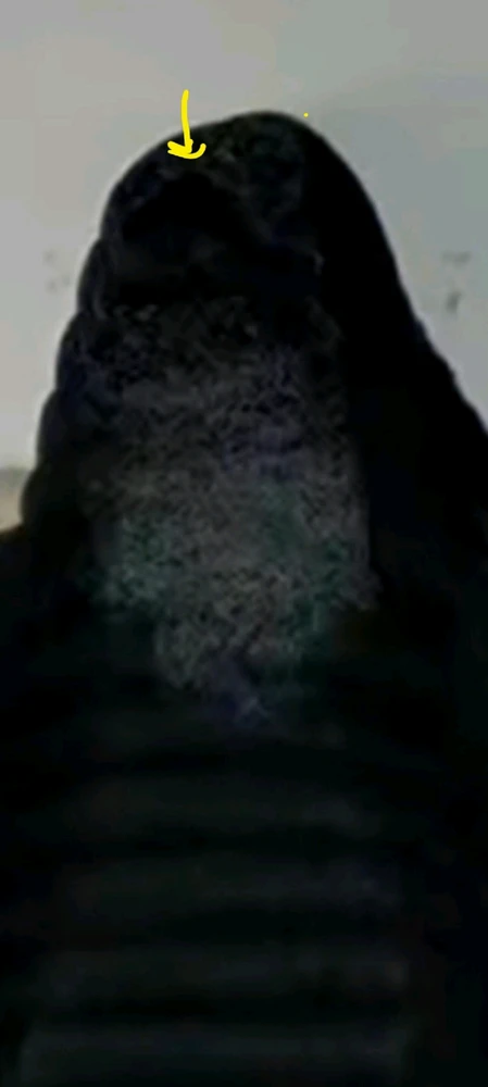 Image uploaded by Ever B