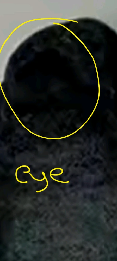 Image uploaded by Ever B