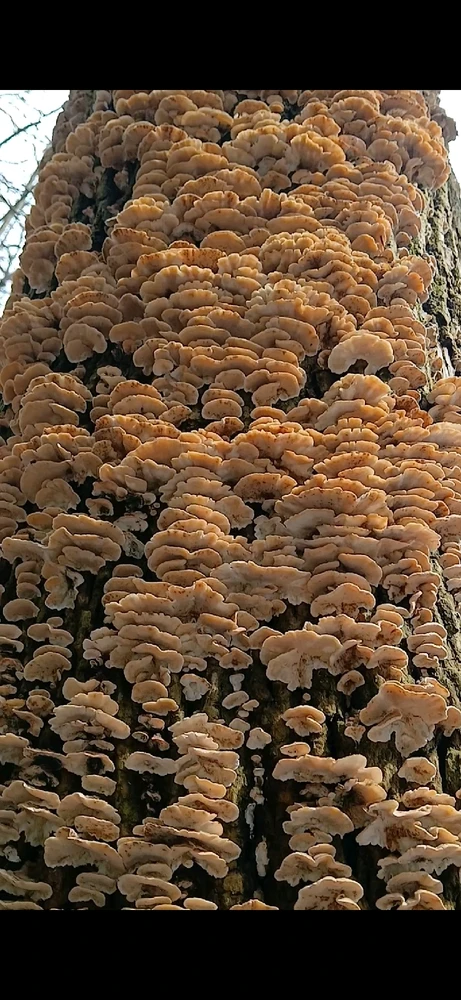 GIF uploaded by Howard