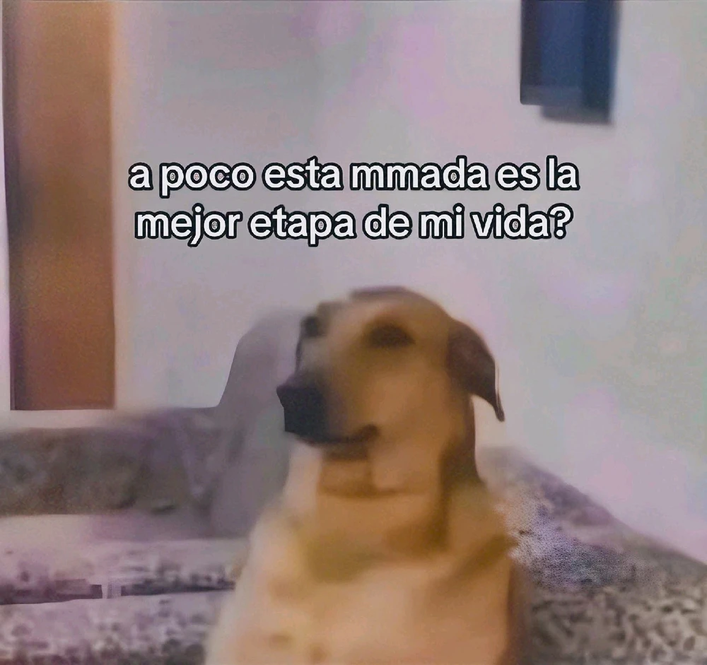 GIF subido por Jj