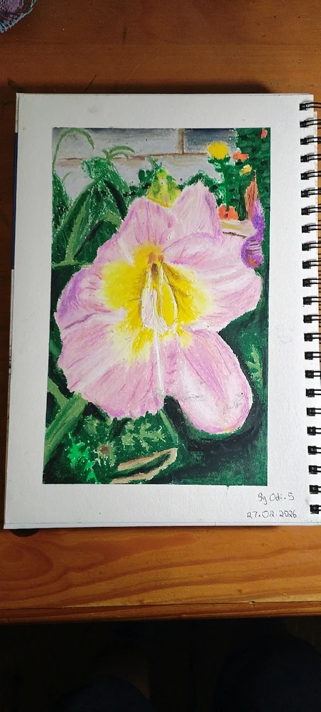 Image uploaded by Odirile