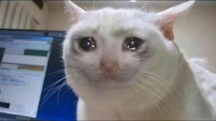 Imagem enviada por Luiz