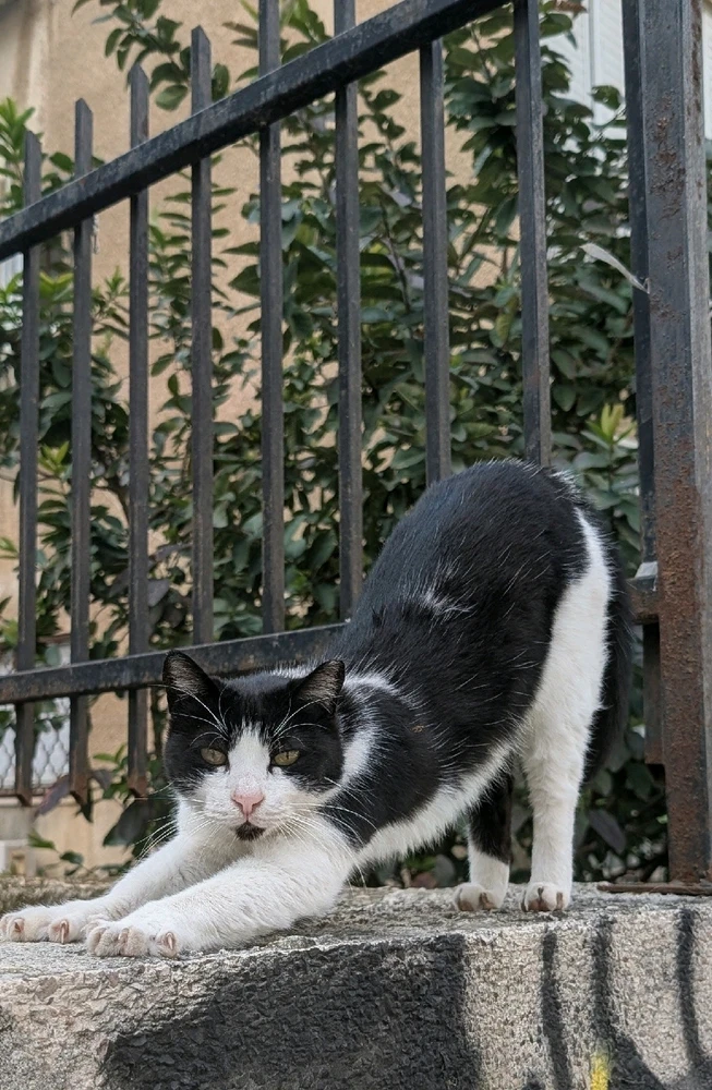 GIF uploaded by Aviv