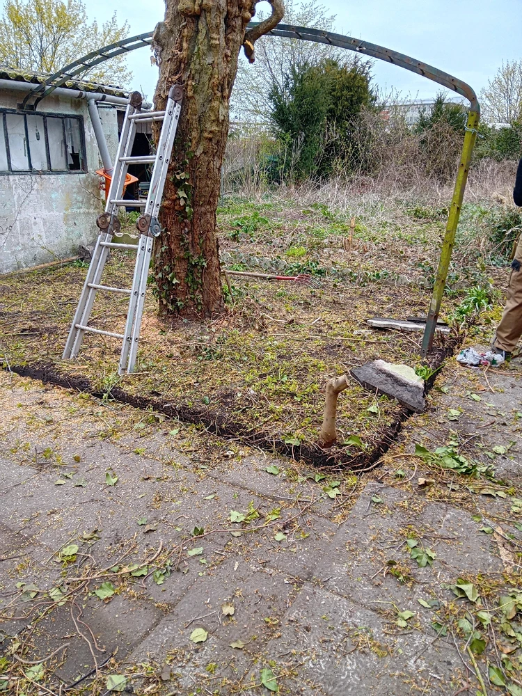 GIF ajouté par Marie