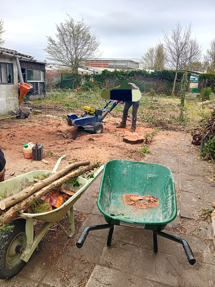 GIF ajouté par Marie