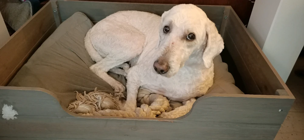 GIF geüpload door Tom