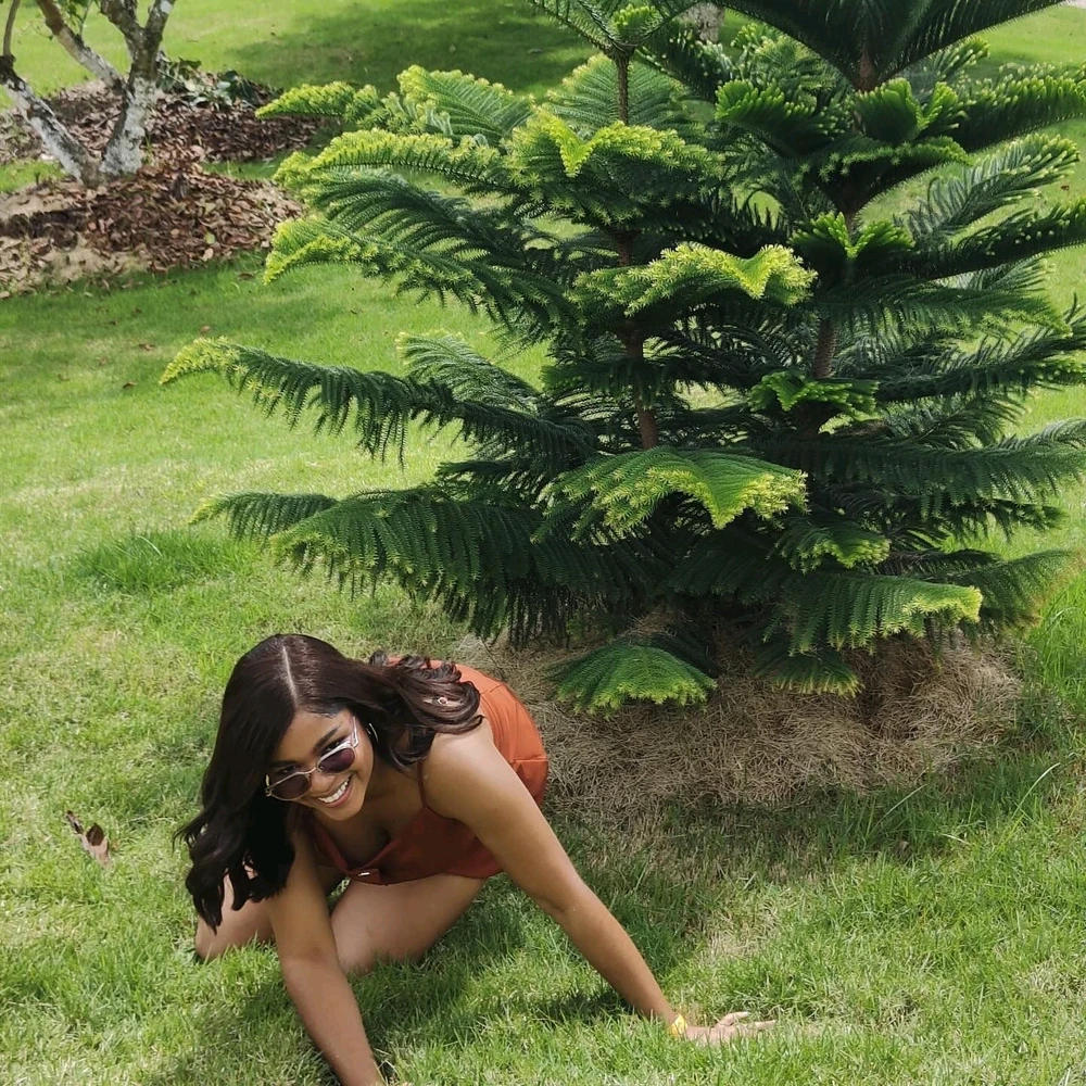 GIF subido por Tat