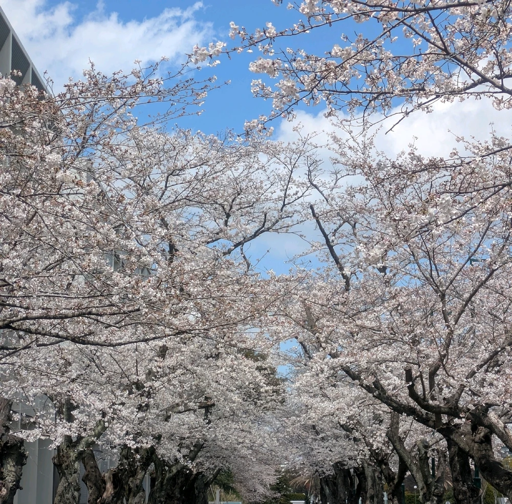 Image uploaded by shajm