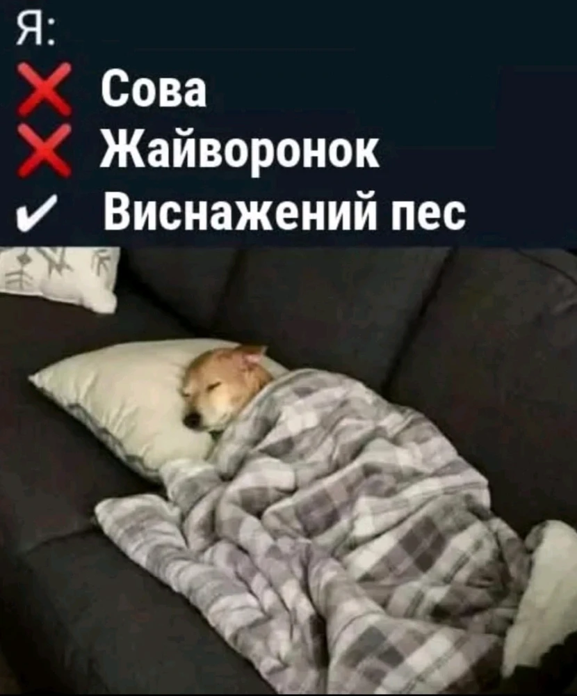 Гіфку завантажив Катерина
