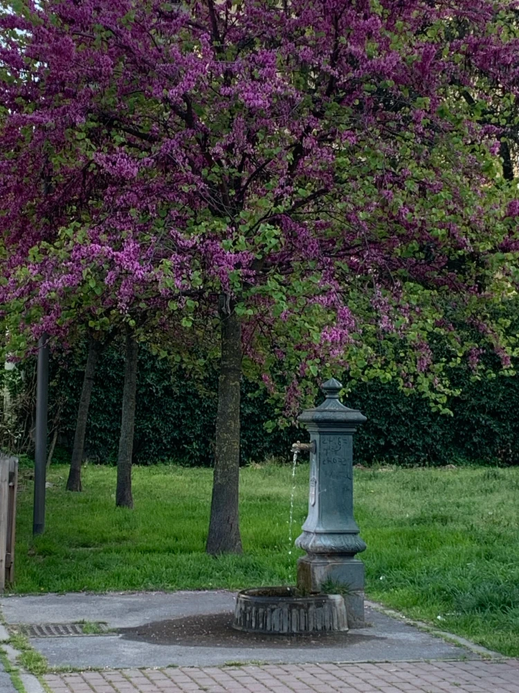 GIF caricata da Anto