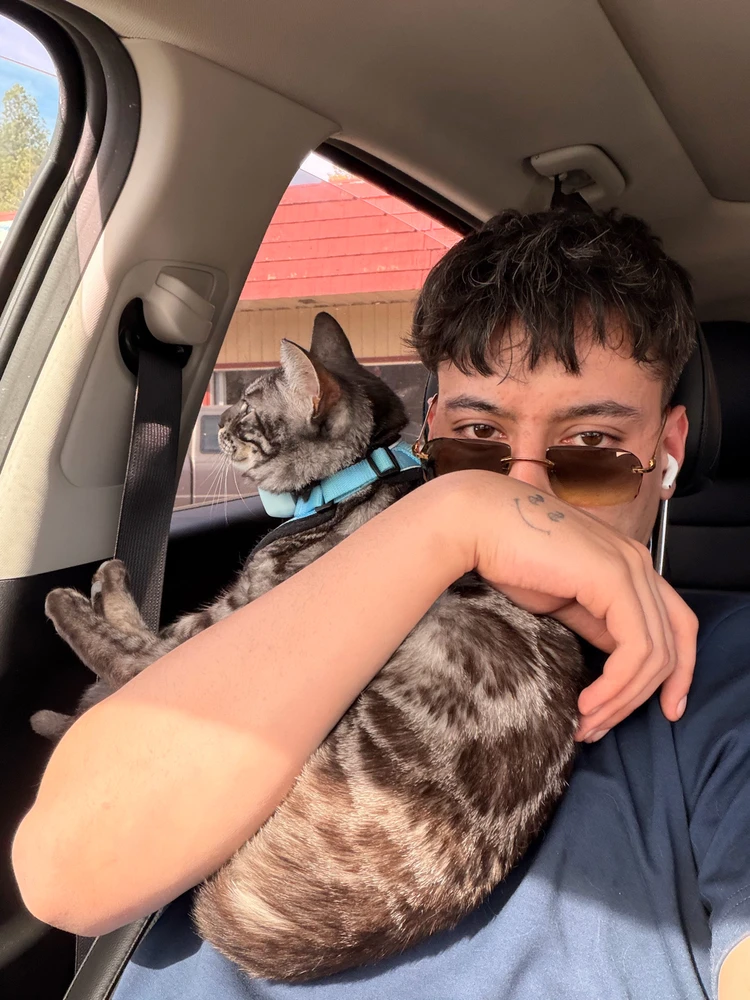 GIF geüpload door Franky
