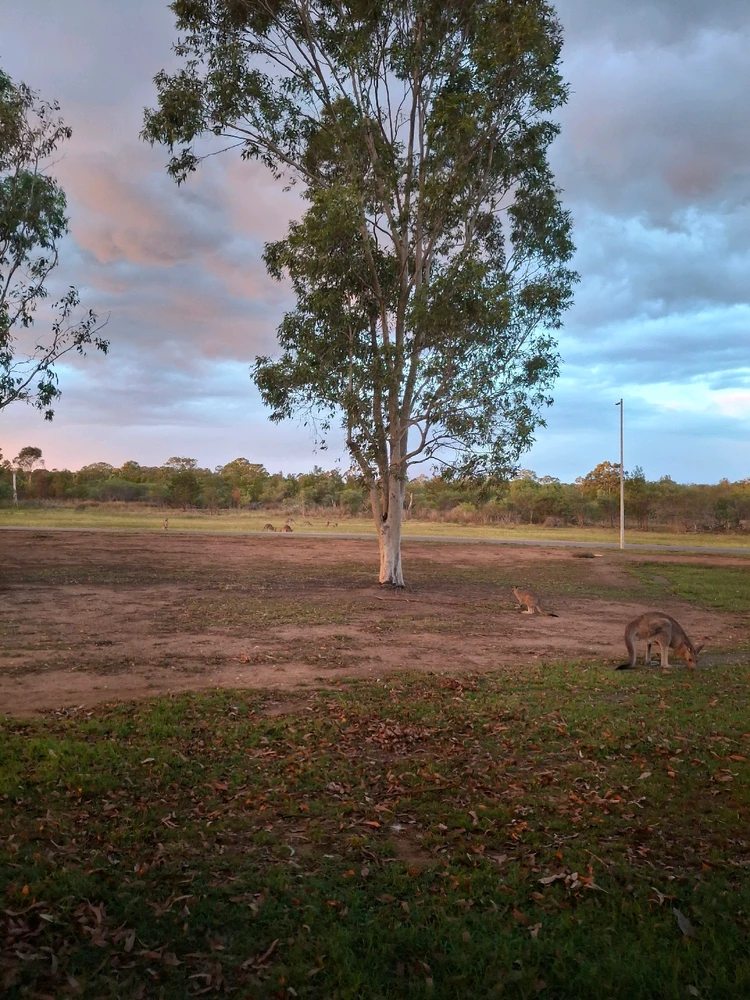 GIF uploaded by Teejay