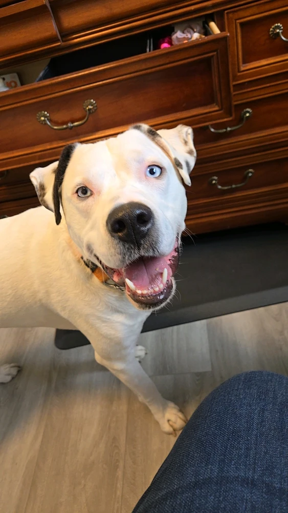 GIF uploaded by Cody