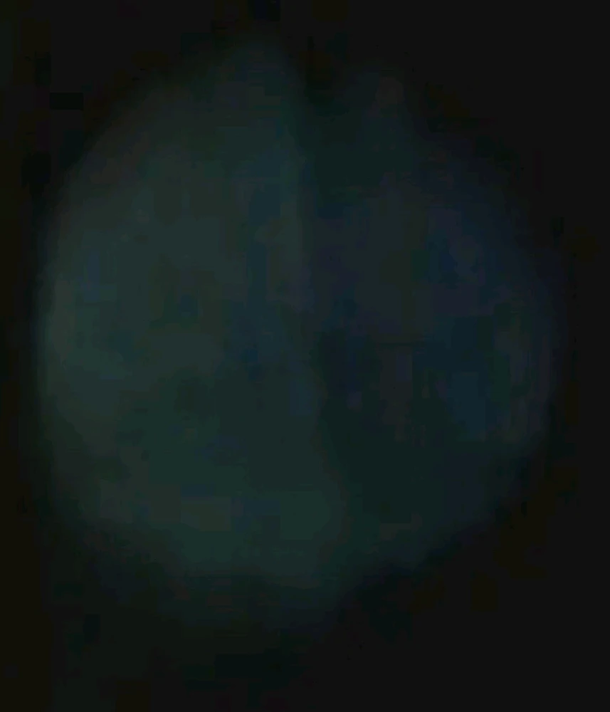 Image uploaded by Ever B