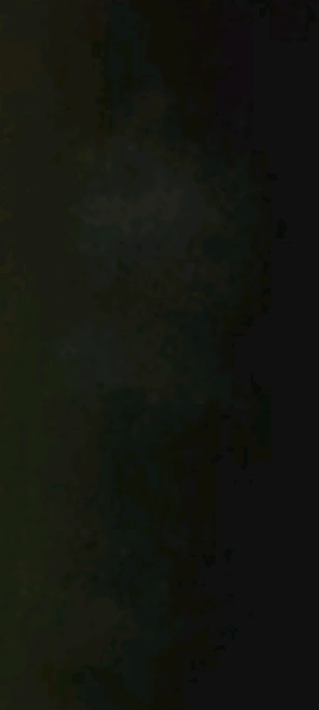 Image uploaded by Ever B