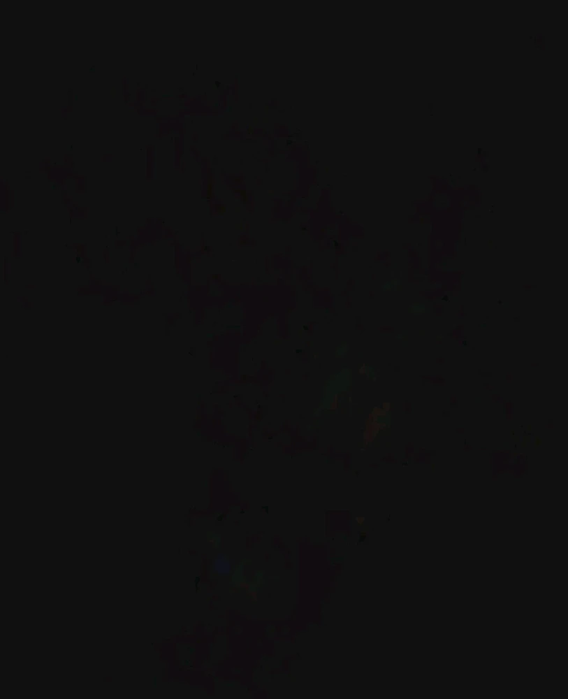 Image uploaded by Ever B