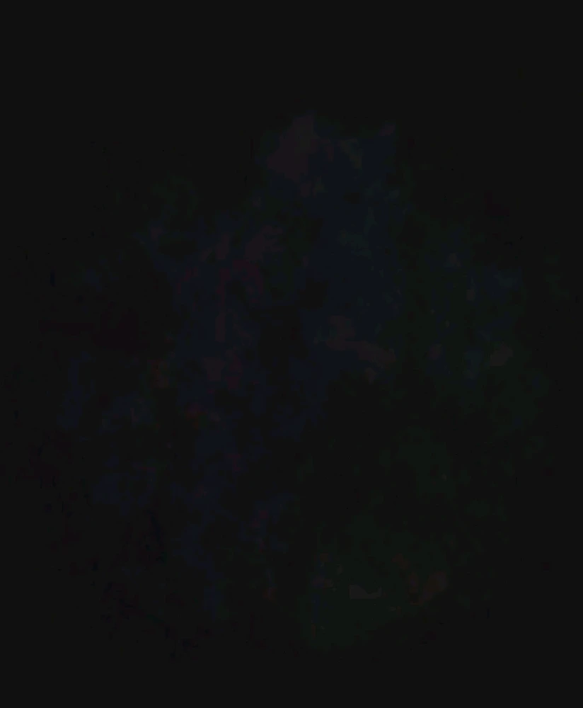 Image uploaded by Ever B