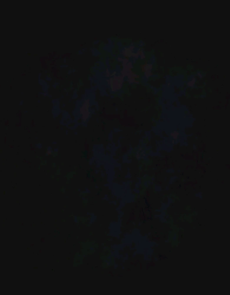 Image uploaded by Ever B