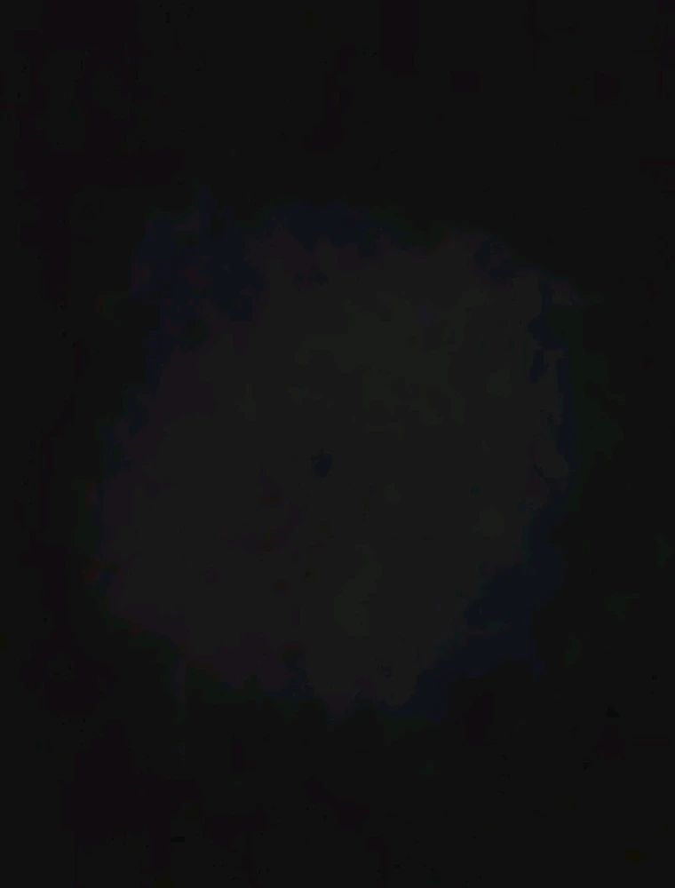 Image uploaded by Ever B