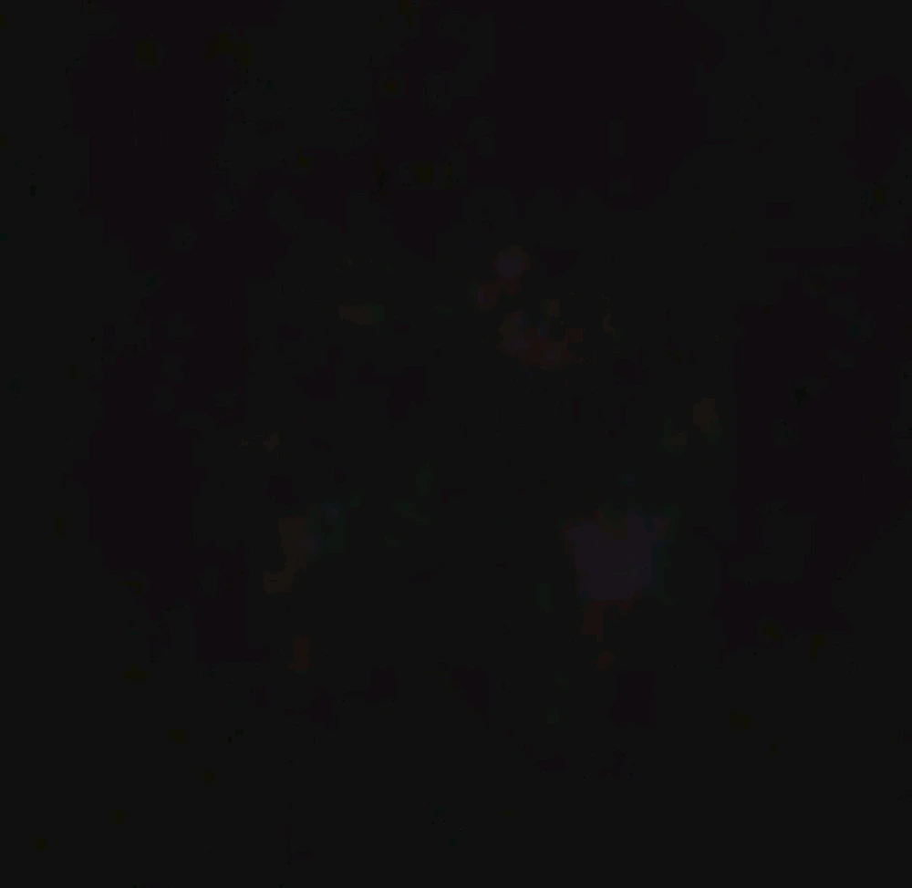 Image uploaded by Ever B