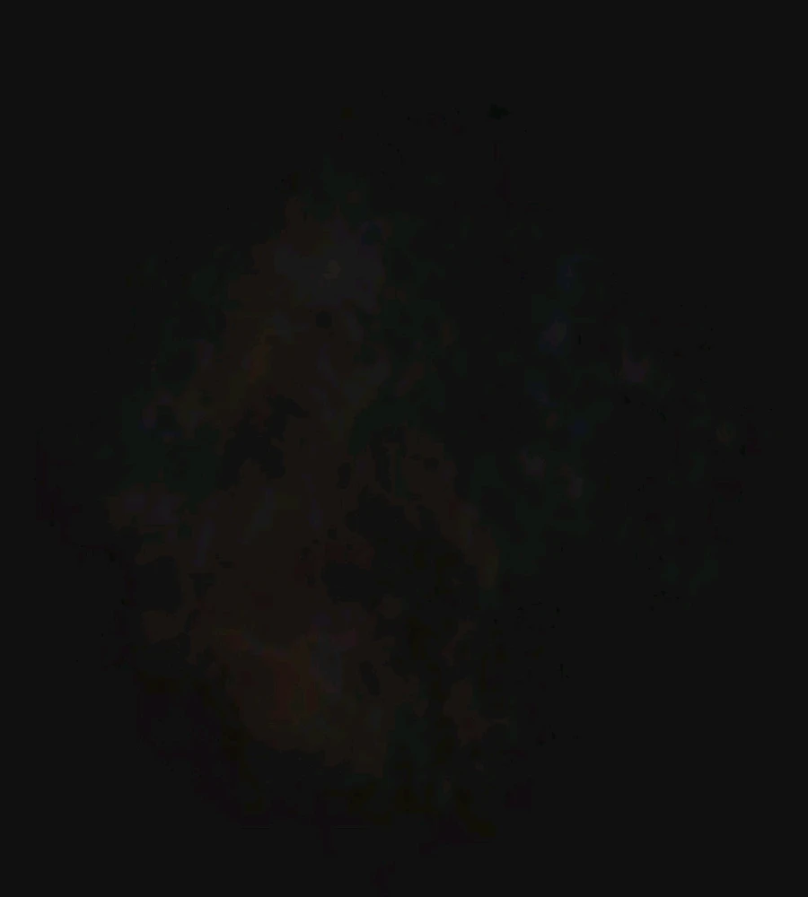 Image uploaded by Ever B