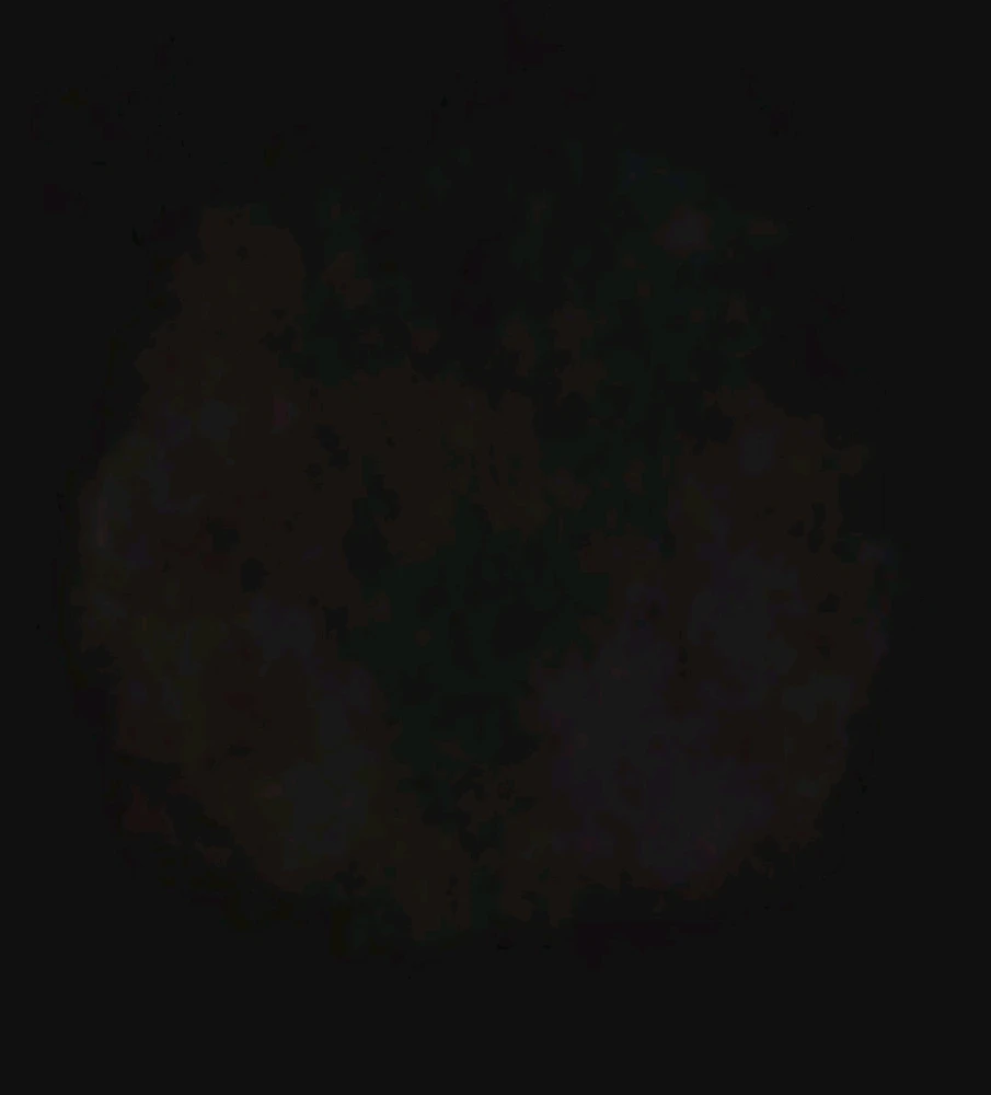 Image uploaded by Ever B