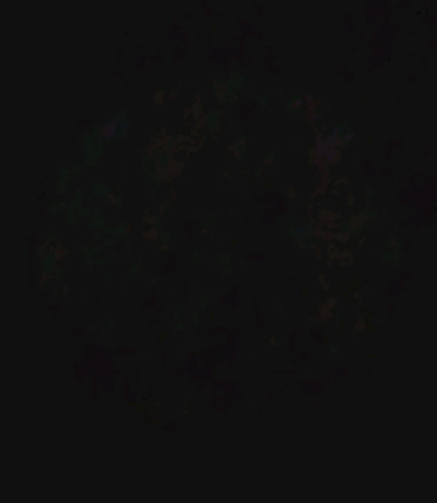 Image uploaded by Ever B