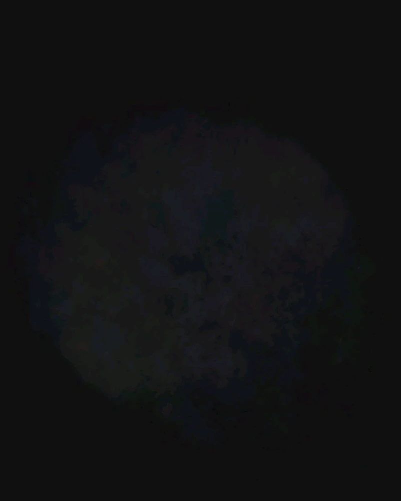Image uploaded by Ever B