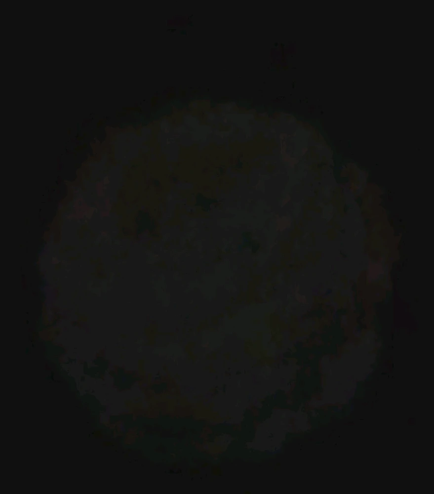 Image uploaded by Ever B