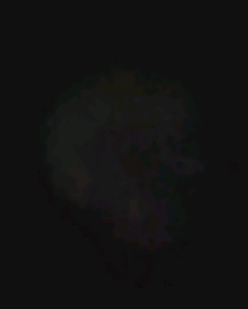 Image uploaded by Ever B