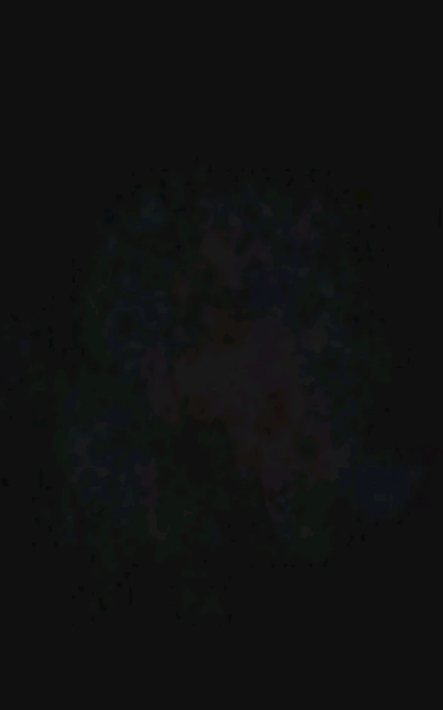 Image uploaded by Ever B