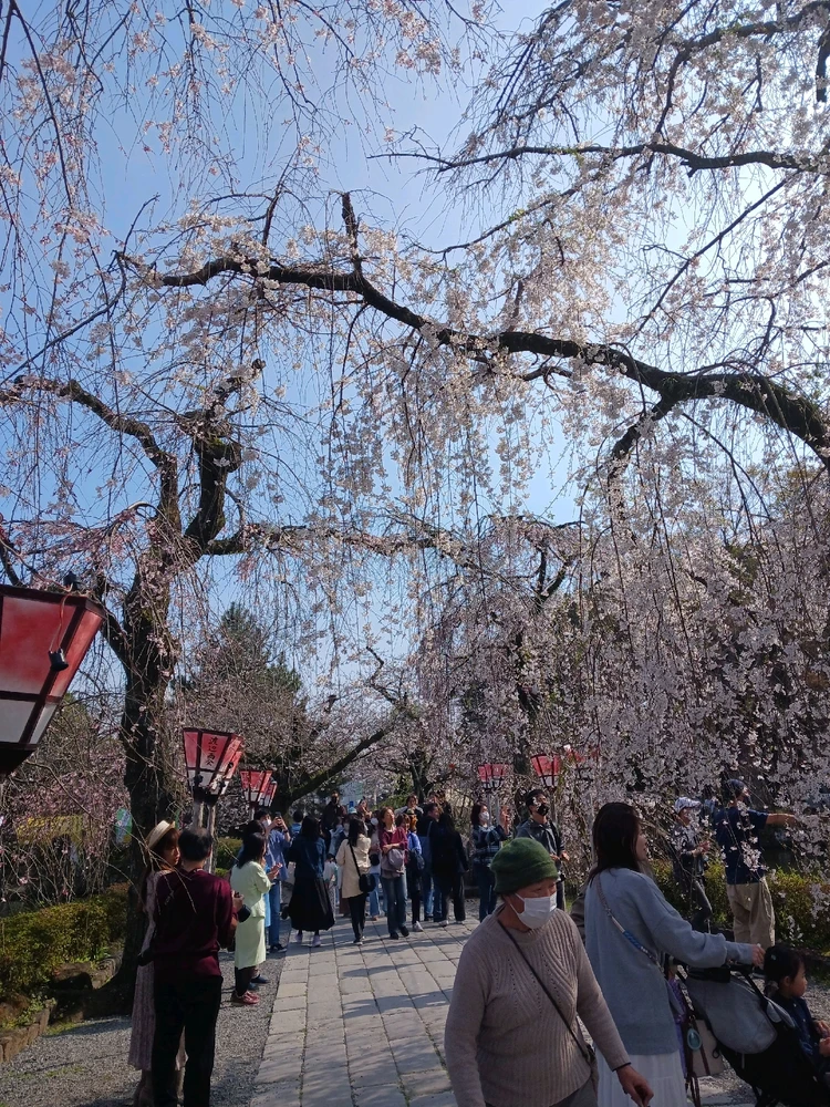 Image uploaded by Miku