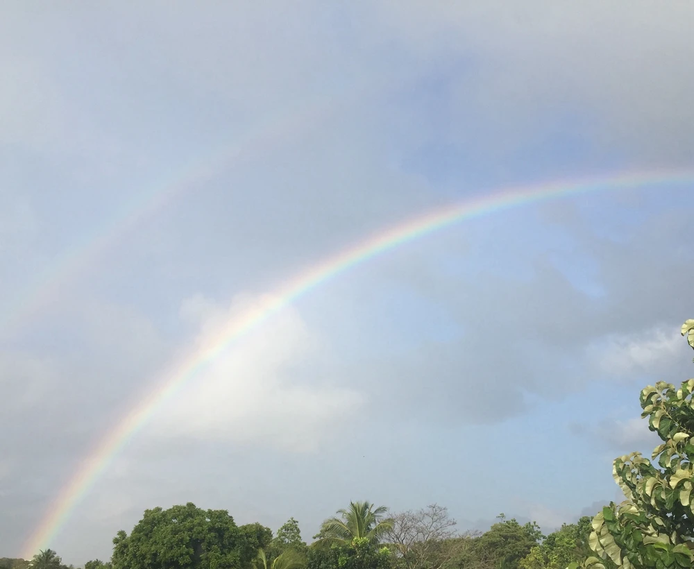 Image uploaded by Tara