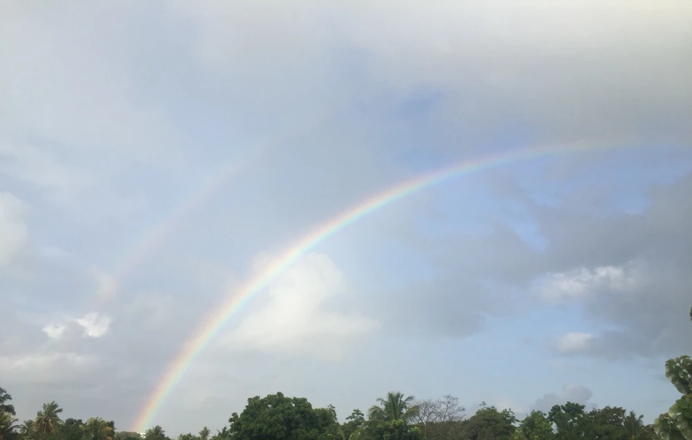 Image uploaded by Tara