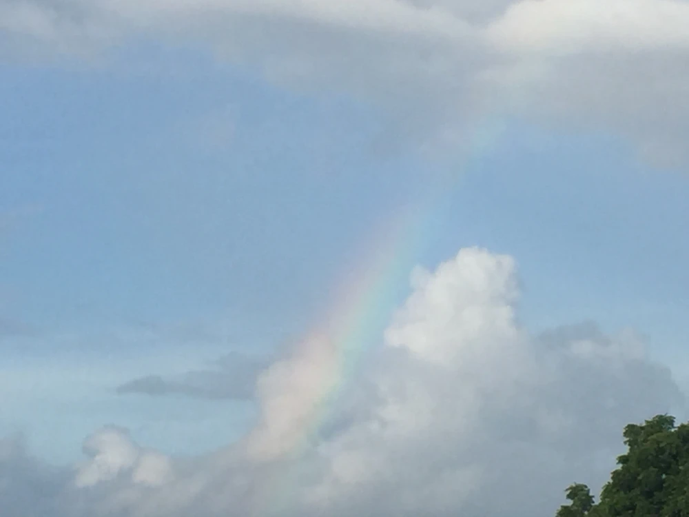 Image uploaded by Tara