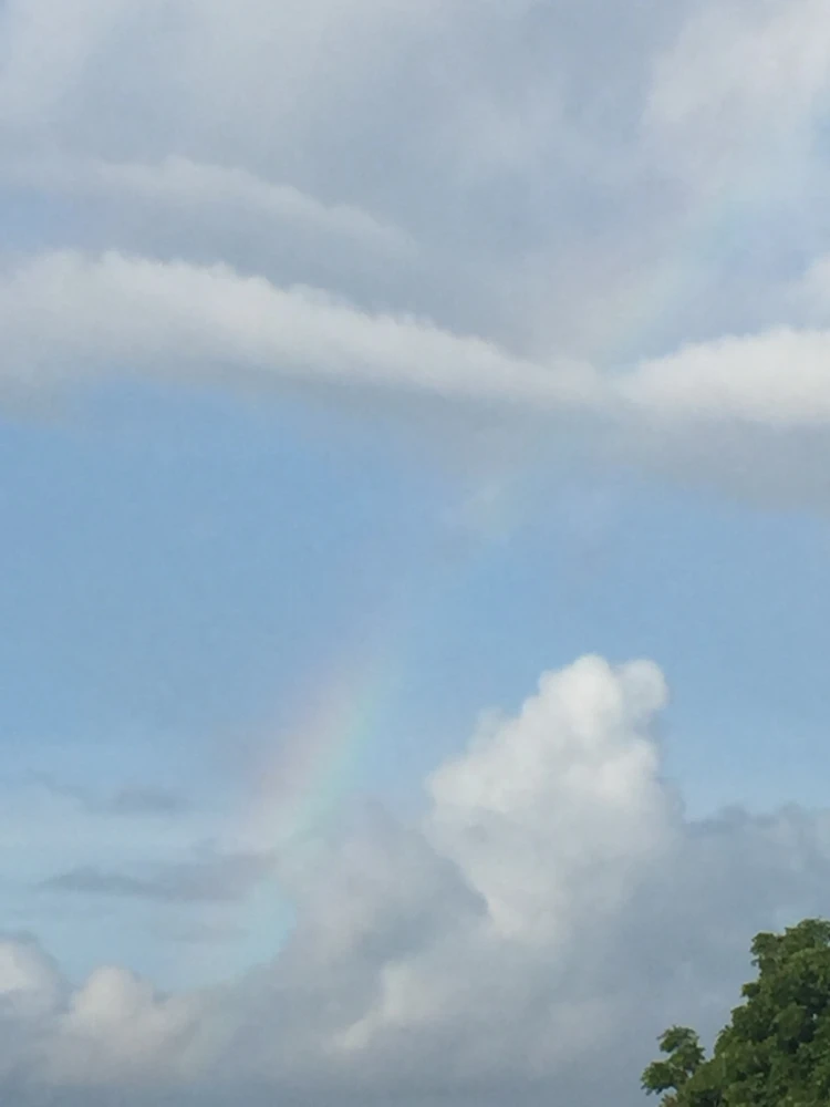 Image uploaded by Tara