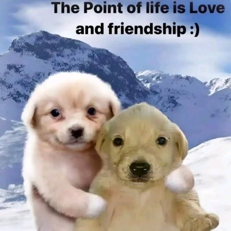 GIF uploaded by Michalis