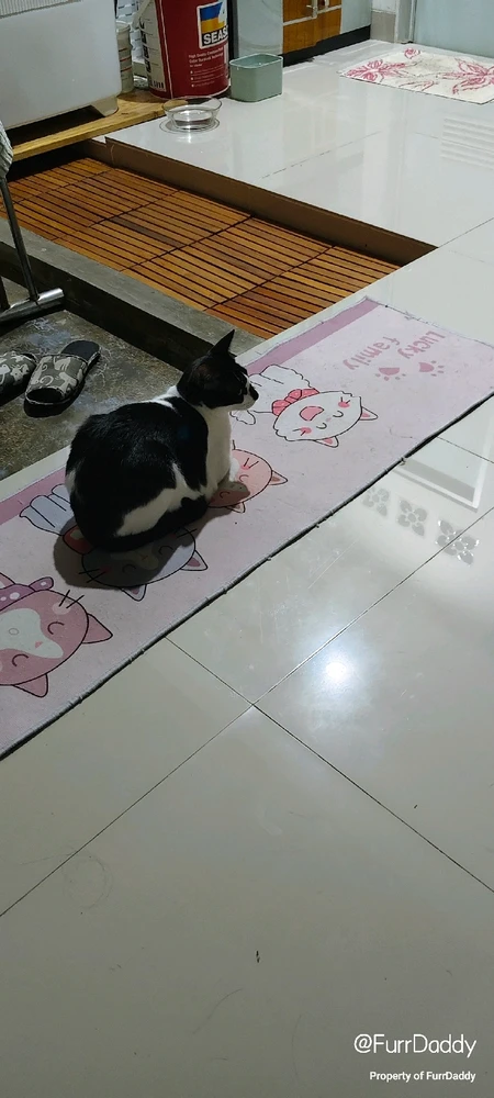 GIF uploaded by asu dahlah