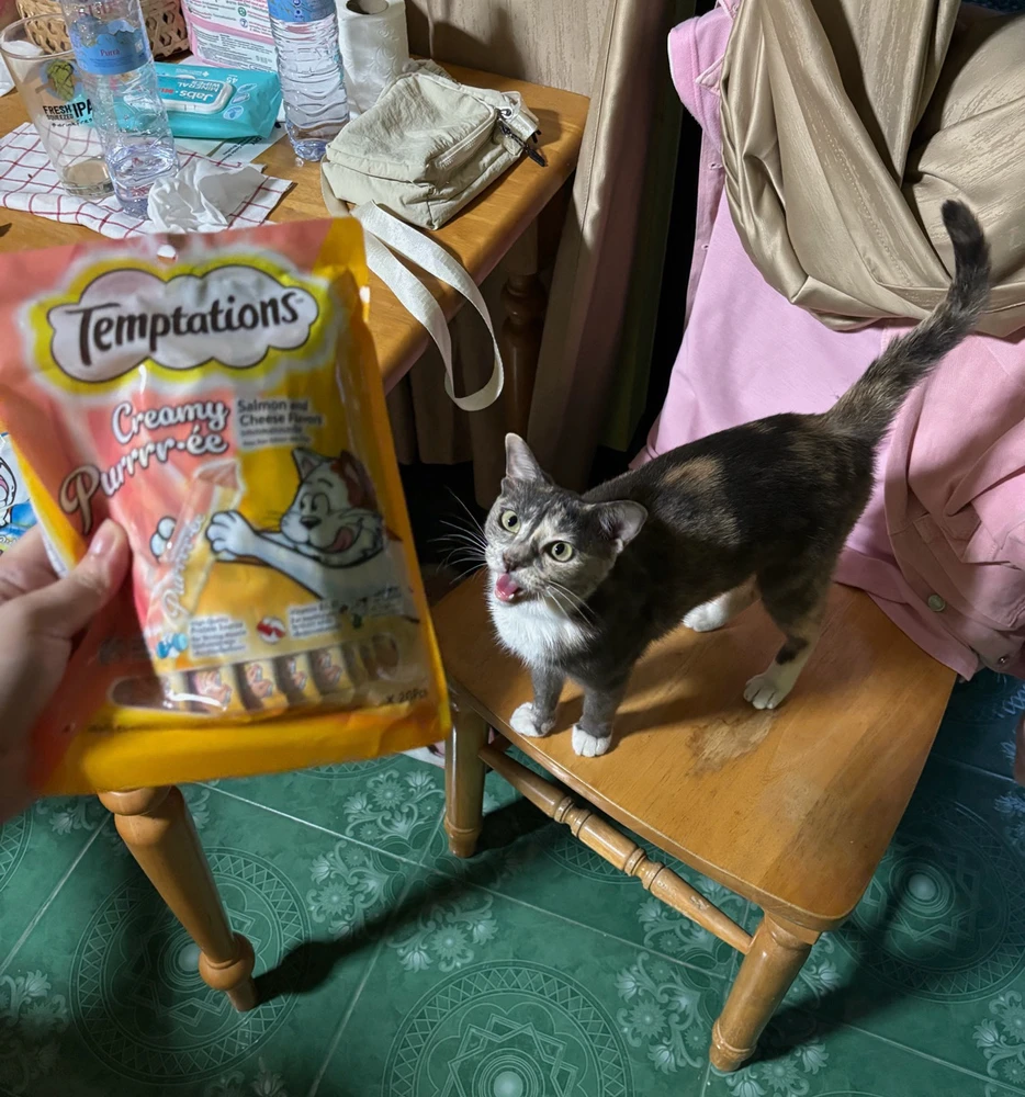 GIF uploaded by Pat♡