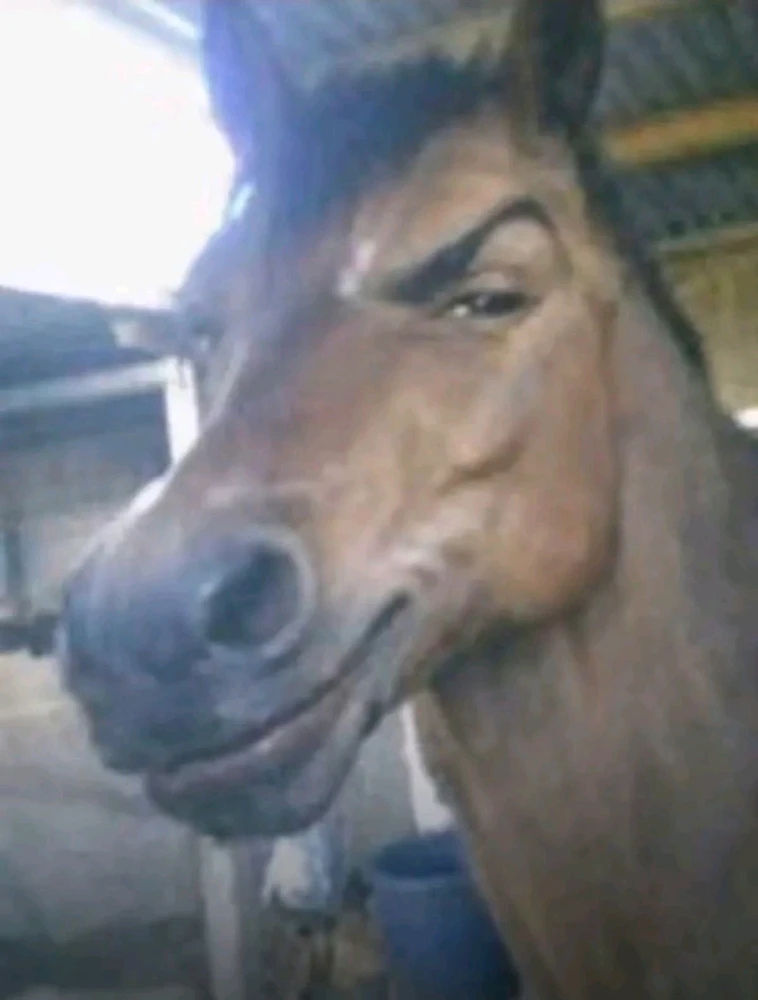 Image uploaded by Borna