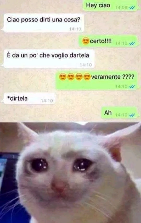 GIF caricata da Elviscerale