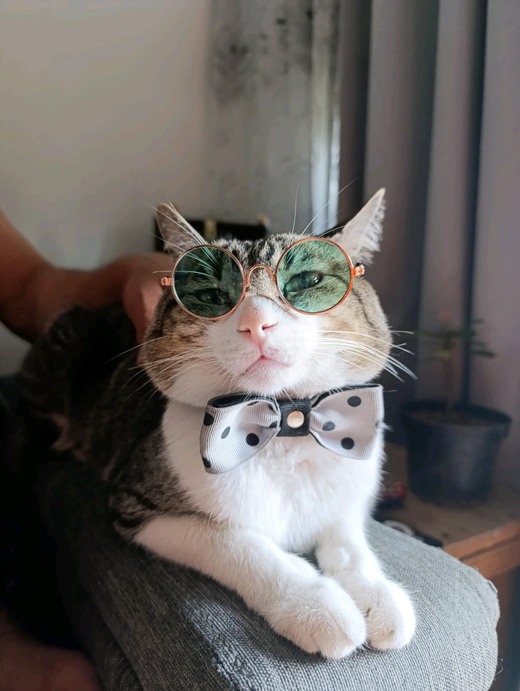 GIF subido por Juan Camilo