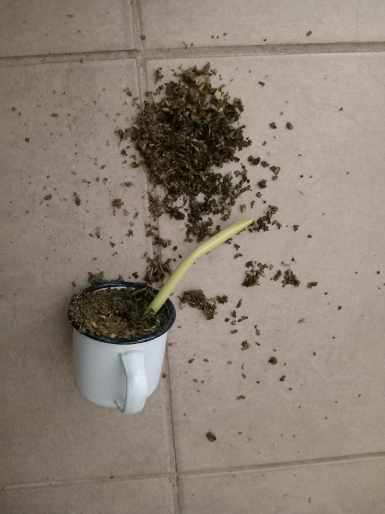 GIF subido por maria