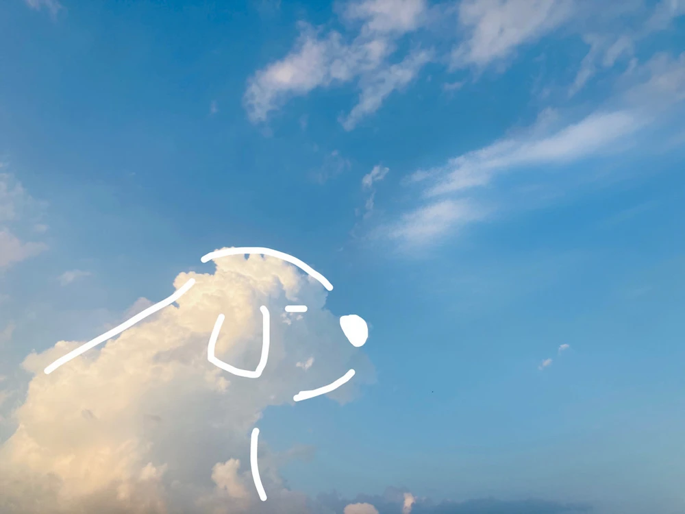 GIF uploaded by Tara