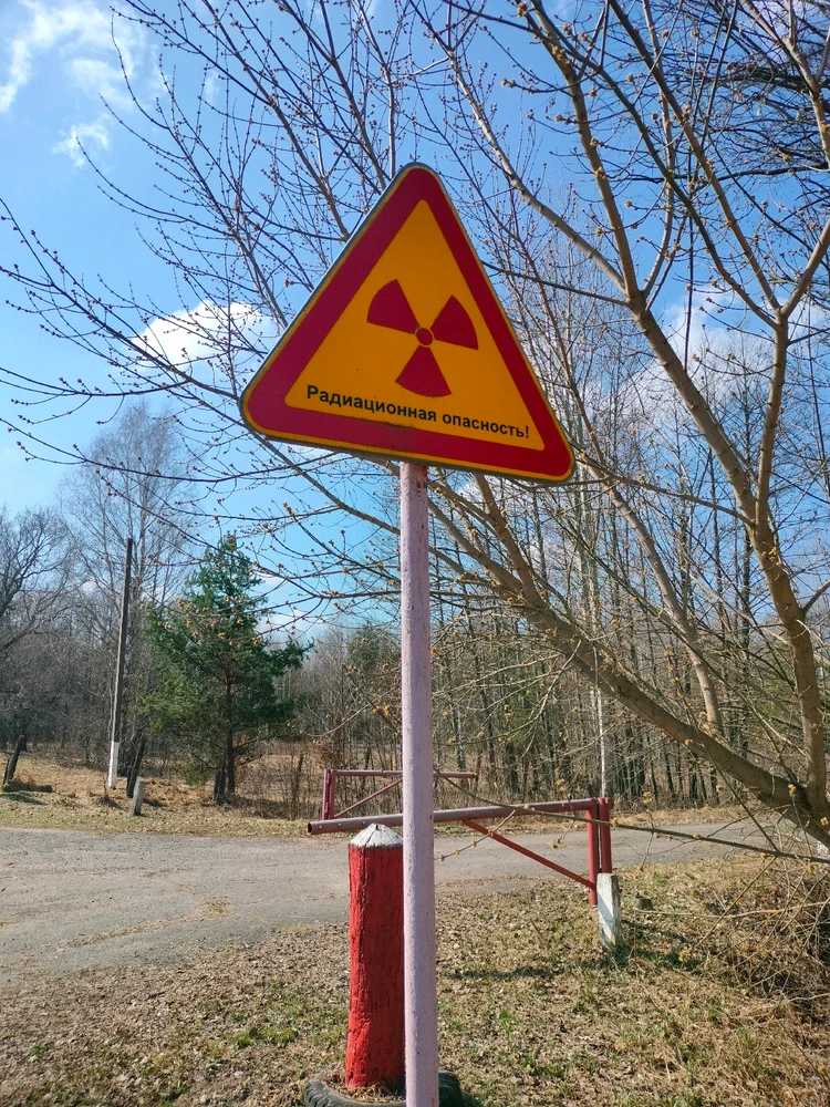 Выява загружана Teratos Genes